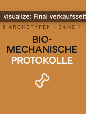 Biomechanische Protokolle (Hardcover)
